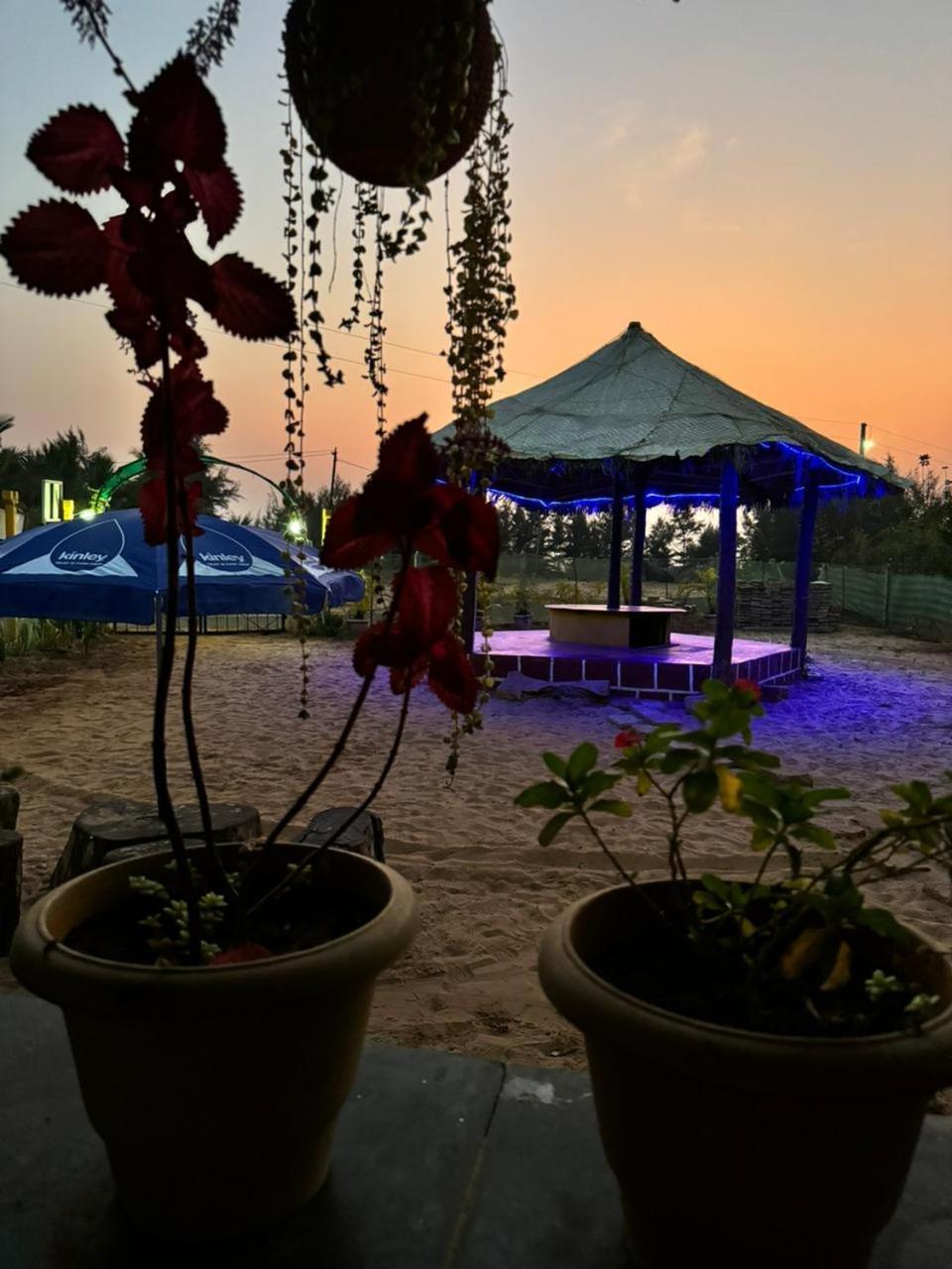 Turtle Beach House Vengurla Luaran gambar